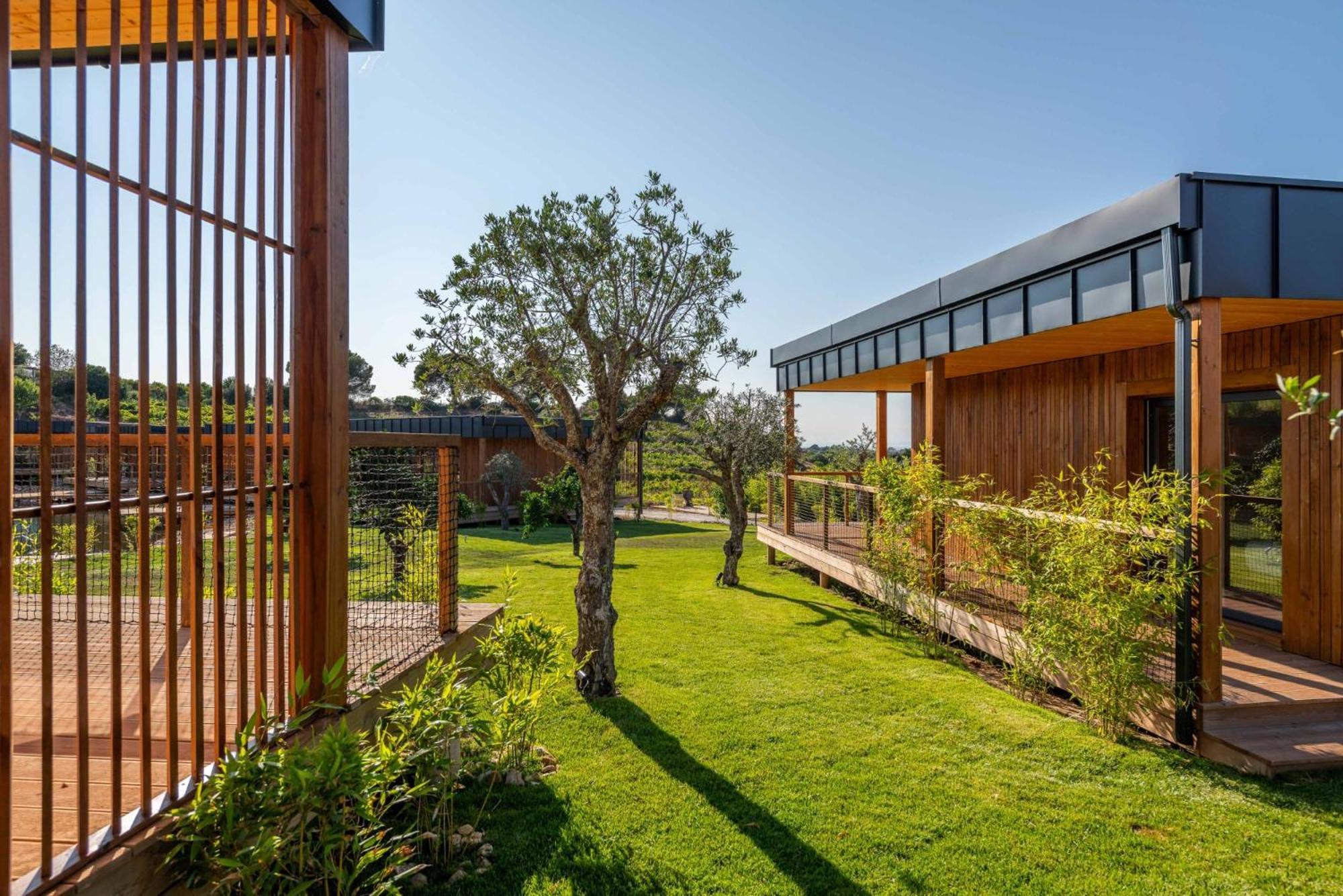 Wecamp Reserva Alecrim Santiago do Cacém Exteriör bild